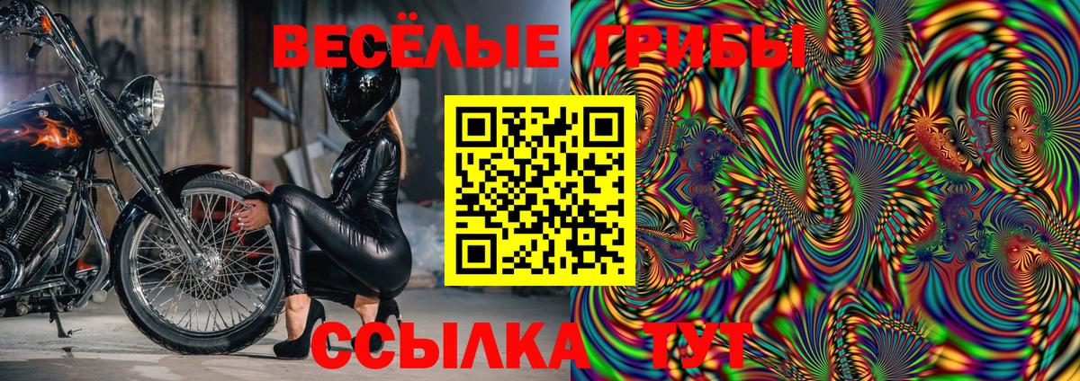 Киселёвск  Галлюциногенные грибы Magic Shrooms  Вход с VPN  Псилоцибиновые грибы Psilocybine cubensis 