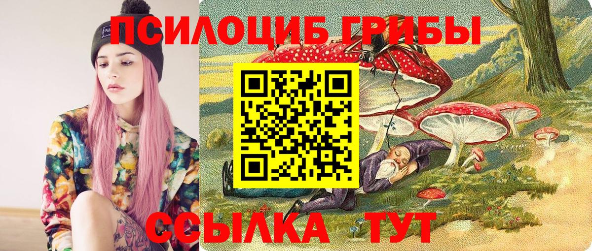 Псилоцибиновые грибы прущие грибы Киселёвск